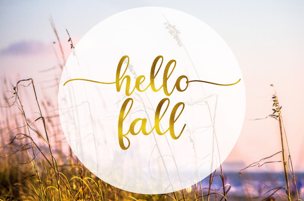 Decorate your Home for Fall on a Budget